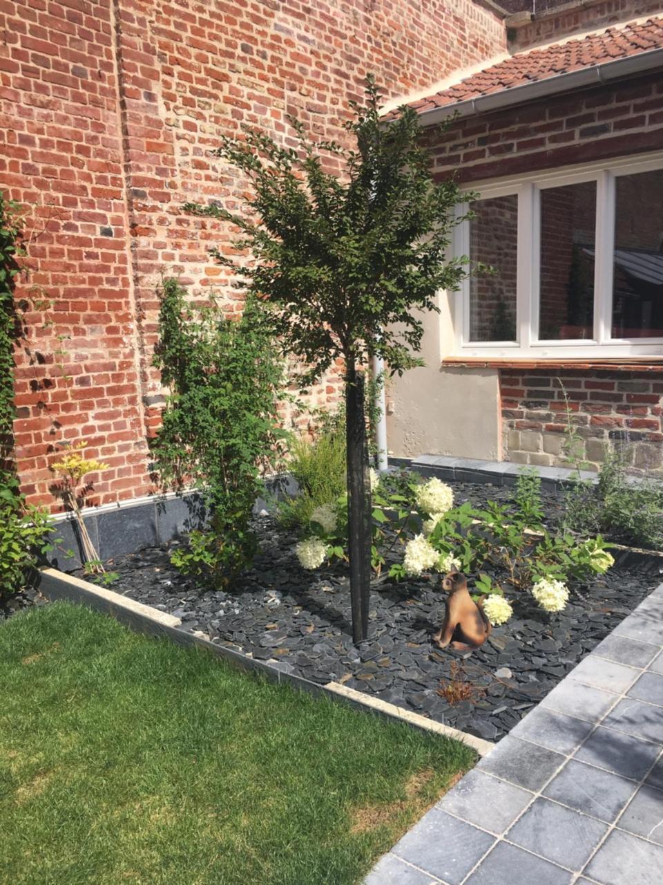 Les D'hotes Du Palais Homestay Douai